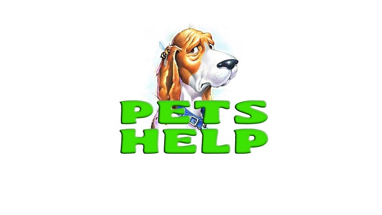 Приложение Pets Help