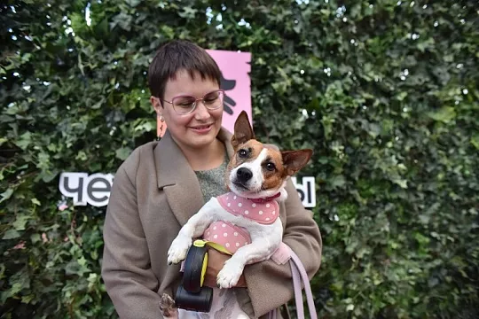 Dog-friendly этикет: как вести себя с собакой на публике, чтобы всем было комфортно Dog-friendly этикет: как вести себя с собакой на публике, чтобы всем было комфортно