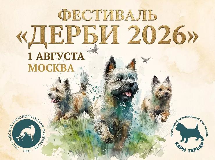 Фестиваль «Дерби 2026»