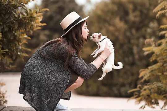 Самые маленькие собаки для квартиры