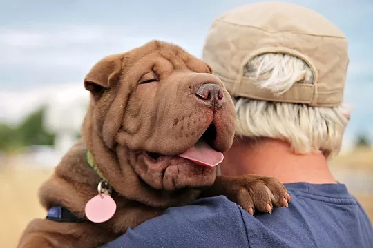 Старость – не болезнь!