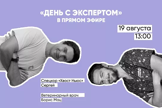 Приглашаем на День с экспертом – впервые на «Хвост Ньюс»!