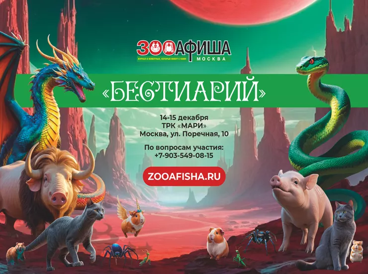 «Бестиарий»