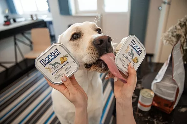 Какой влажный корм выбрать для собаки: 4 подсказки на этикетке