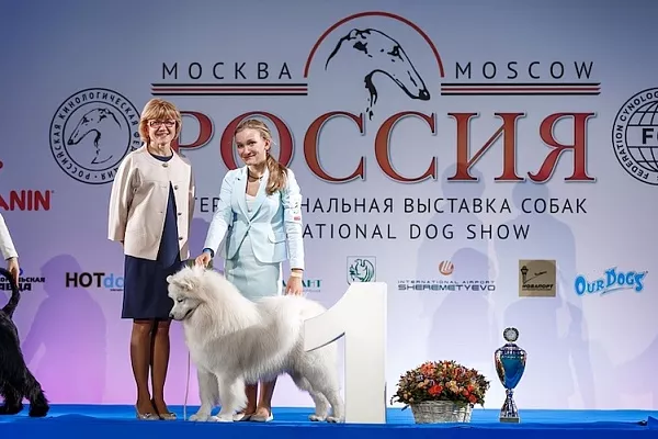 Приглашаем на легендарную выставку собак «Россия. Кубок РКФ 2020–2021»