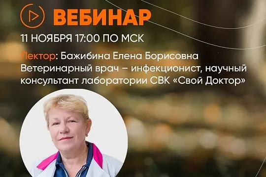 Вебинар "Питомец осенью: ТОП осенних заболеваний собак и кошек"