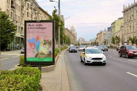 «Котобюро» в Москве: коворкинг, антикафе, лекторий и приют для кошек