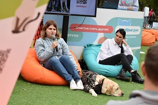 Как обучают собак-поводырей и чем может помочь каждый из нас