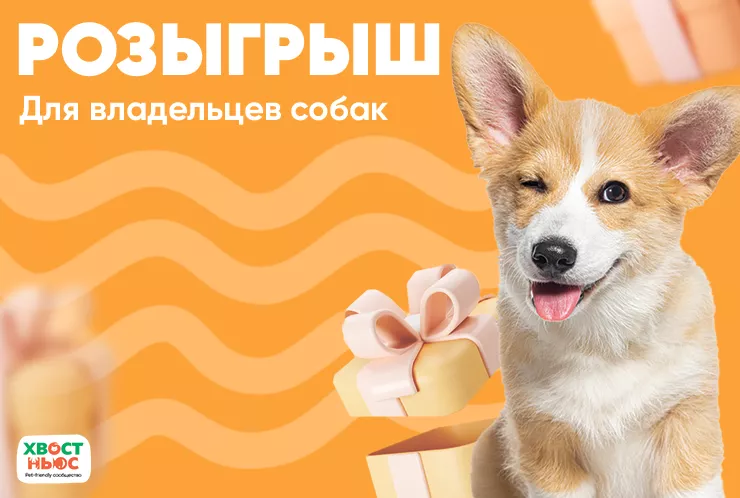 Счастливый питомец