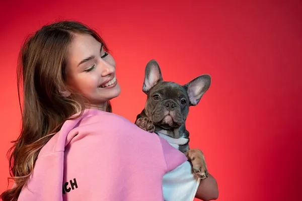 Как дрессировать собаку: отличия приемов кинологов старой и новой школы