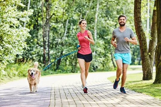 Приглашаем на вебинар «Собака и я – спортивная семья: кому и зачем нужны ОКД, ЗКС и мондьоринг»