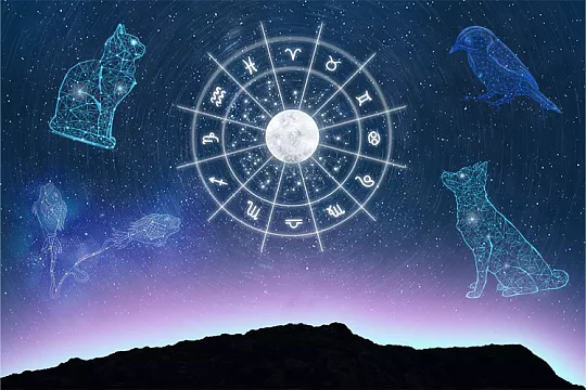 Гороскоп на 2023 год для вашей pet-семьи Гороскоп на 2023 год для вашей pet-семьи
