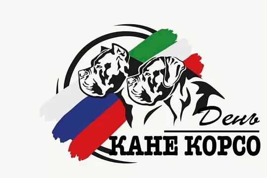 Праздник умных итальянских защитников Cane Corso Day 2022 совсем скоро