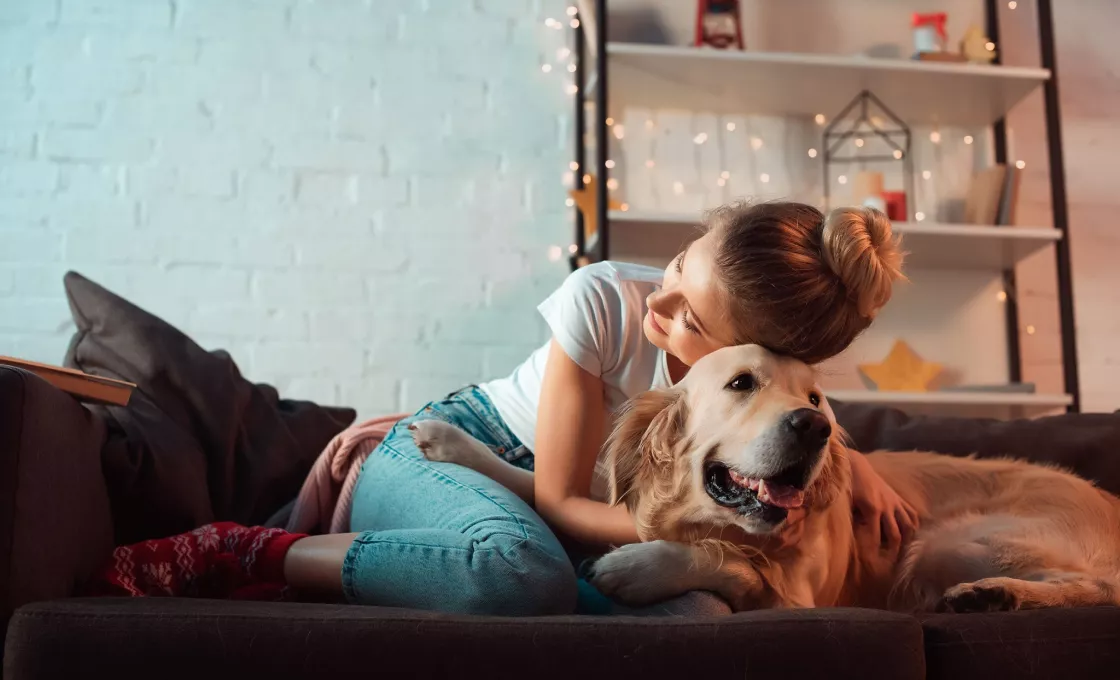 Школа "Хвост Ньюс", курсы для владельцев щенков