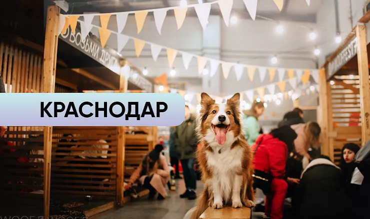 WOOF Краснодар
