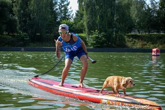 Сапсерфинг с собакой: трендовое хобби или стиль жизни?