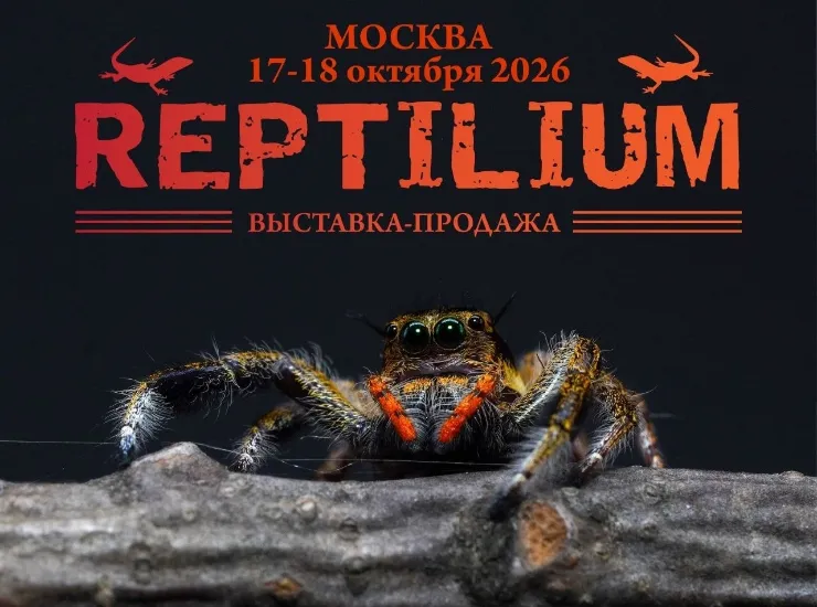 «Рептилиум»
