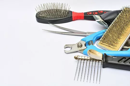 Груминг животных