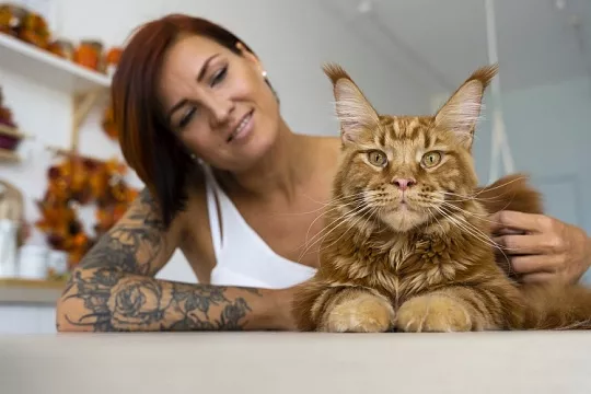 Кошкам можно рыбу или все-таки нет? Разбираемся с ветврачом-диетологом