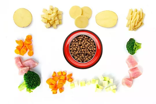 Нужен ли картофель в корме для собак и кошек