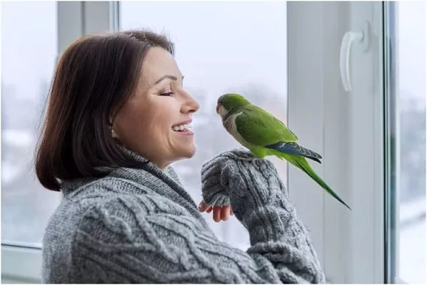 Сколько живут попугаи в домашних условиях