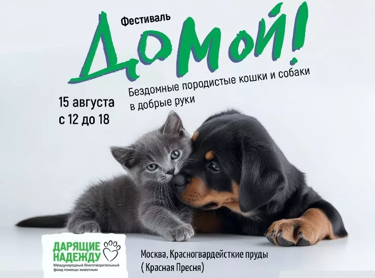 Фестиваль «Домой!»