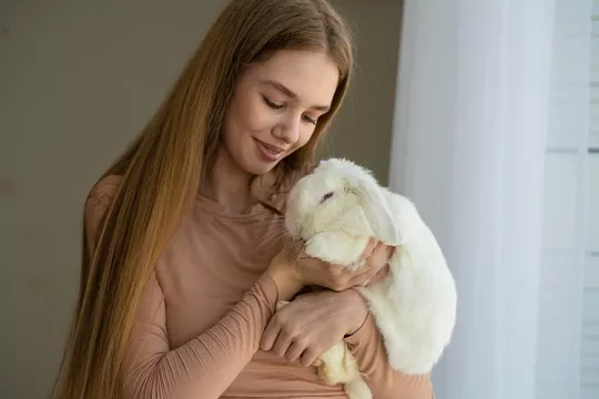 Завести кролика в квартире: насколько это хорошая идея и что общего у кроликов с кошками и собаками