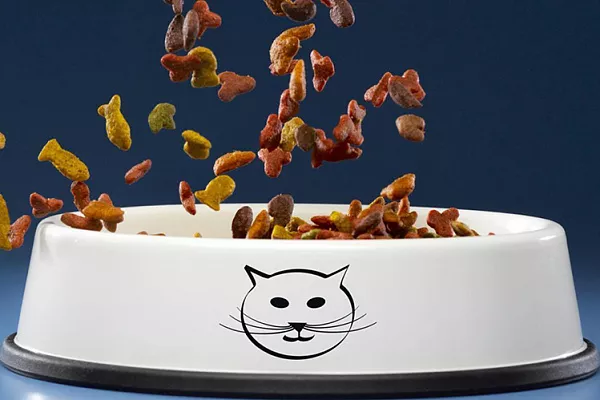 Классы кормов для кошек