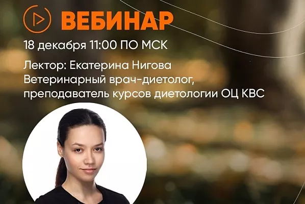 Вебинар "Питомец зимой: Я не толстый, я пушистый! Соблюдаем диету в Новый год!"