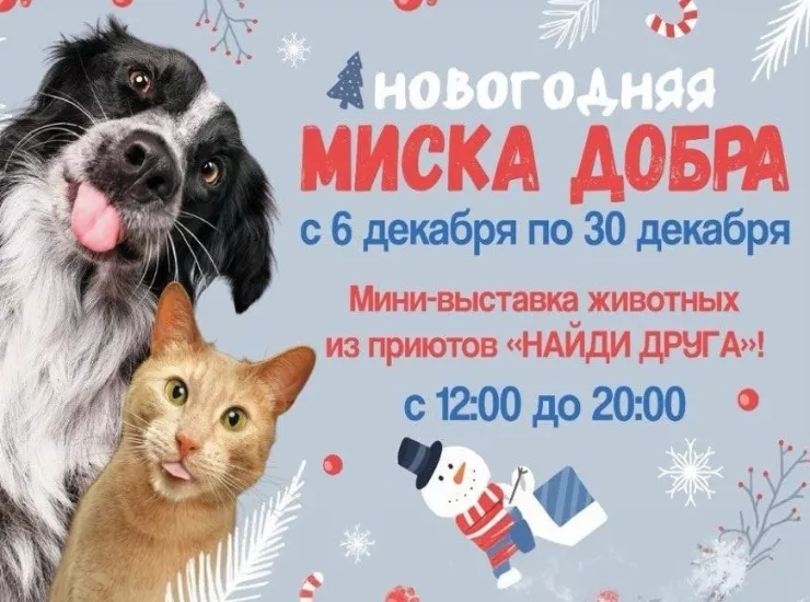 «Найди друга»