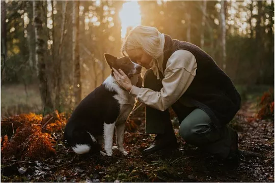 Сколько лет собаке по человеческим меркам