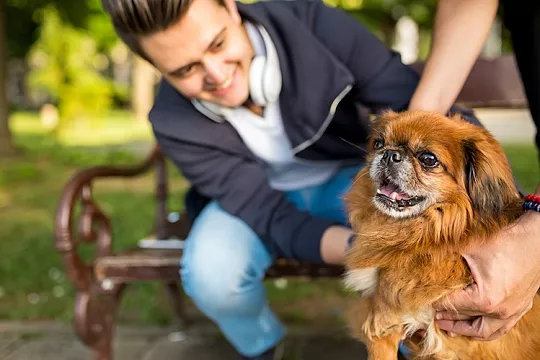 Как выбрать заводчика