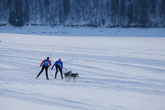 "Белый След 2022": как это было