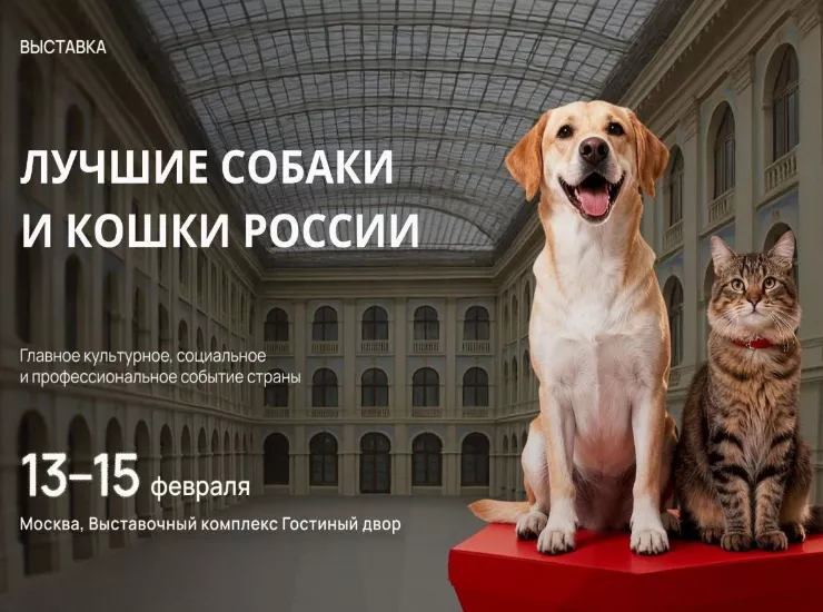 «Лучшие собаки и кошки России 2026»