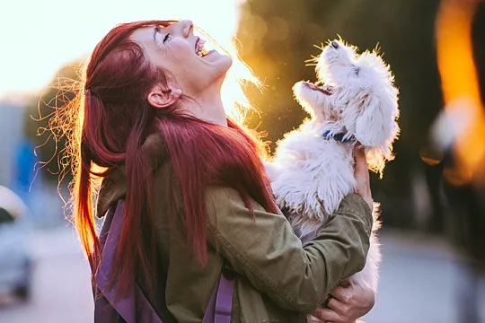 5 причин завести питомца 5 причин завести питомца