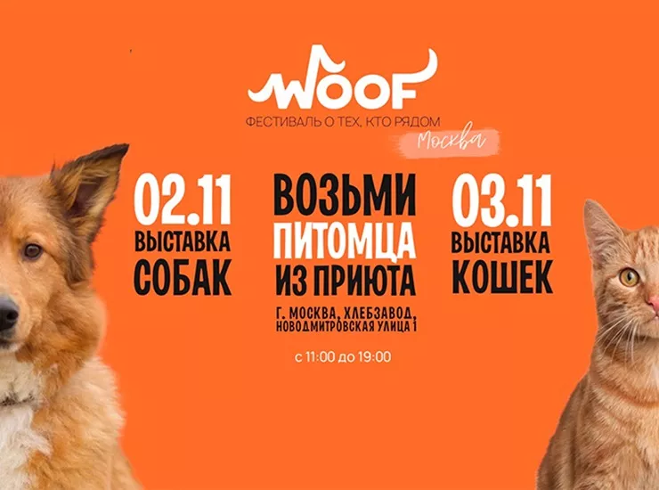 WOOF FEST в Москве WOOF FEST в Москве