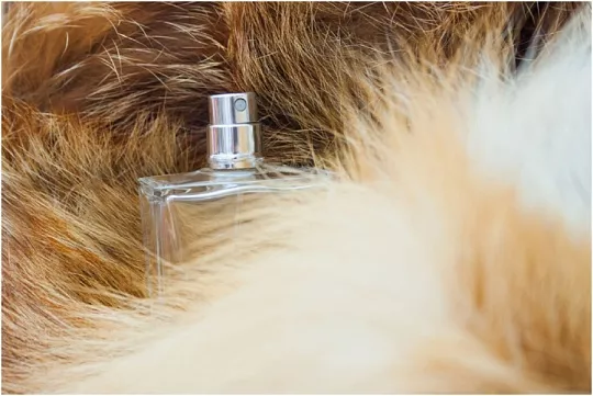 Парфюм для собак и кошек