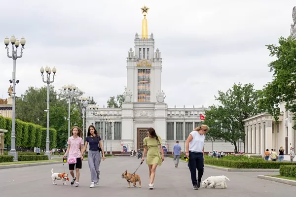 Вместе на выставку, в кафе и в парк: как ВДНХ создает инфраструктуру для питомцев