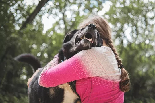 Волонтер в приюте для животных: чем занимается и как им стать
