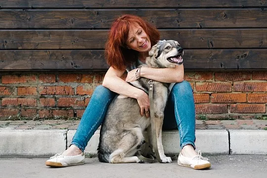 Почему питомцы теряются и что делать, если ваш любимец сбежал