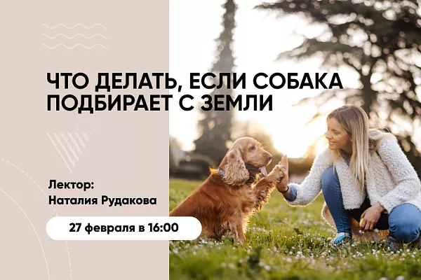 Приглашаем на новый вебинар «Как отучить собаку подбирать с земли»