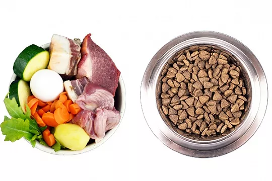 Сухой корм или домашнее питание