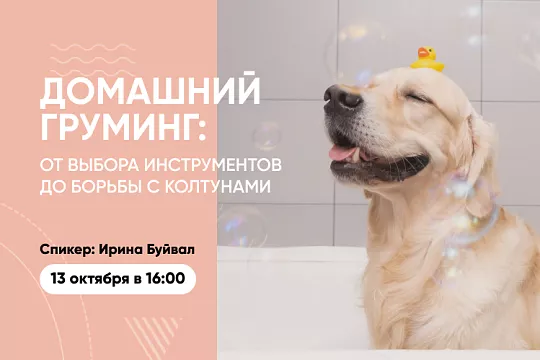 Приглашаем на вебинар «Домашний груминг: от выбора инструментов до борьбы с колтунами»
