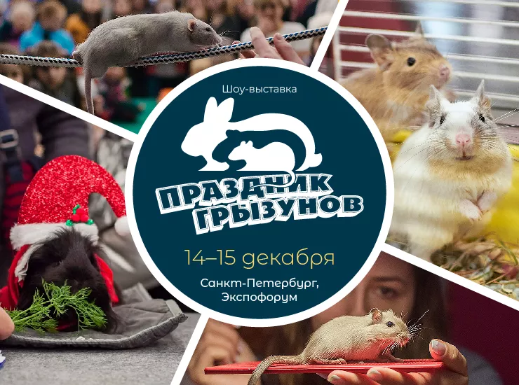 Праздник грызунов