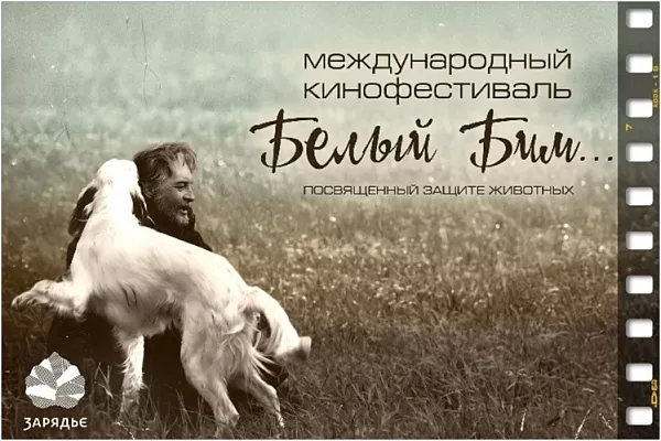 Белый Бим зовет в кино 