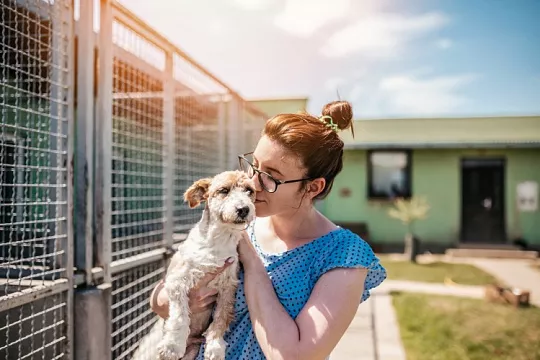 Месяц помощи животным