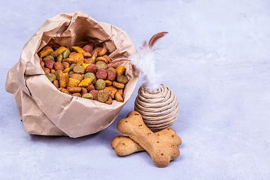 Что нужно знать о составе лакомств для кошек и собак