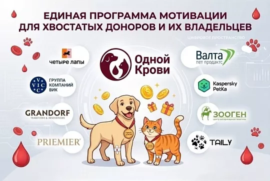 Зообизнес поддержал программу донорства питомцев