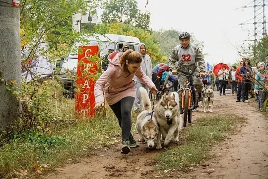 Драйленд — новый вид спорта с собакой для самых активных Драйленд — новый вид спорта с собакой для самых активных