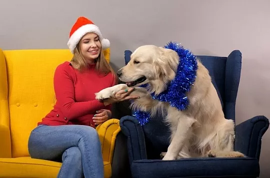 С Новым 2023 Годом! Волшебные пожелания для подписчиков от команды «Хвост Ньюс»